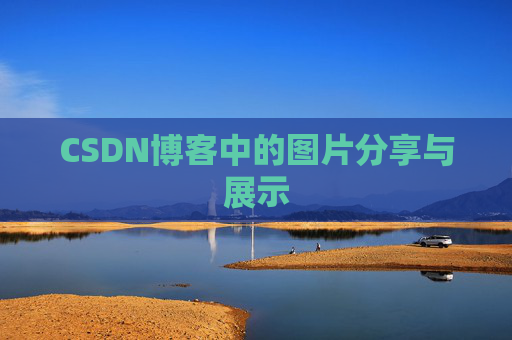 CSDN博客中的图片分享与展示